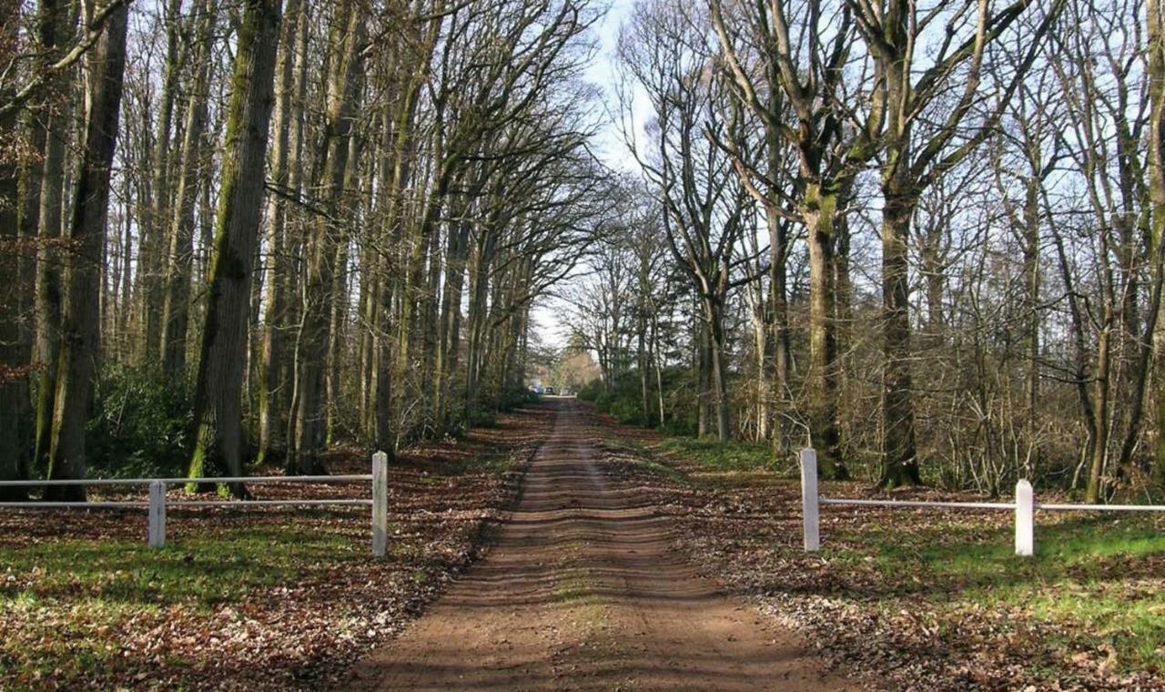 Domaine De La Haute-Porte Souvigné-sur-Sarthe Екстериор снимка